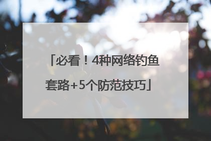 必看！4种网络钓鱼套路+5个防范技巧